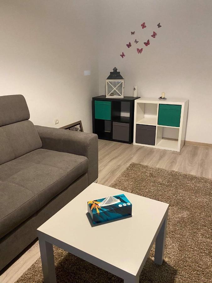 Sweet Appartament Тимишоара Екстериор снимка